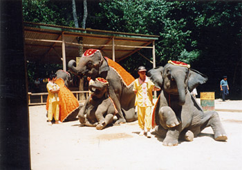 �]�E����